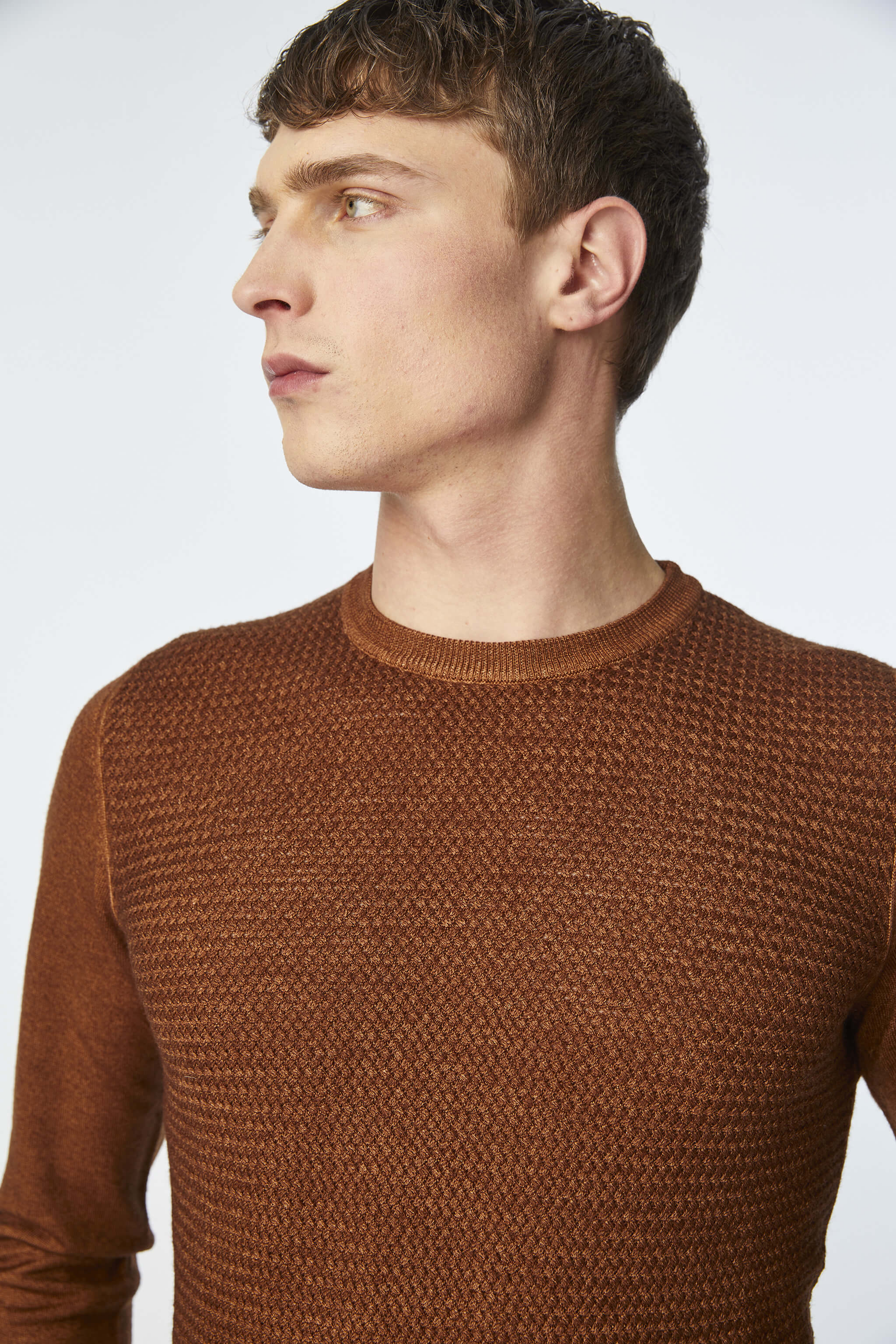Garment-dyed crewneck in brown