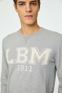 Crewneck sweatshirt with logo light grey